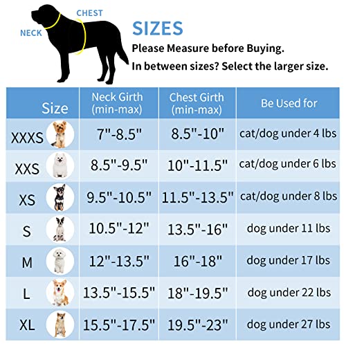 AIITLE Adjustable No Pull Dog Harness & Leash