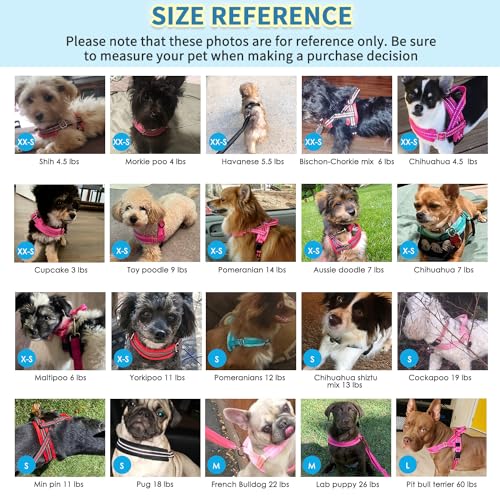 Reflective Small Dog Harness & Leash Set, Adjustable