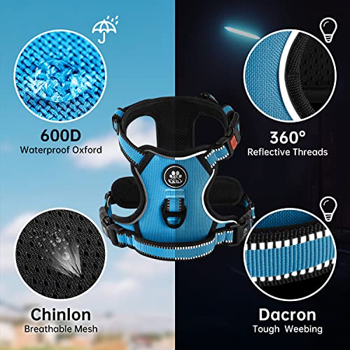 Adjustable Oxford Dog Harness with Reflective Leash - Blue