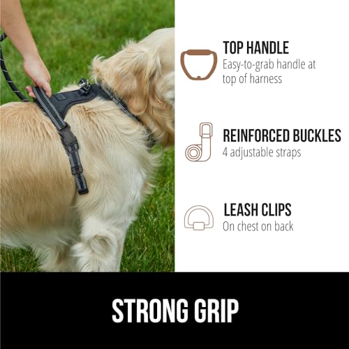 No-Pull Dog Harness with Comfortable Handle, Adjustable Straps