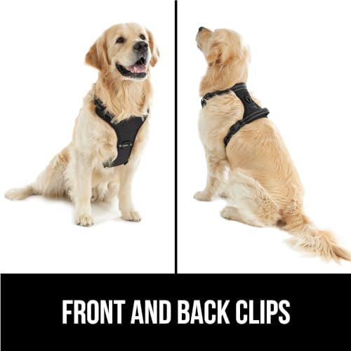 No-Pull Dog Harness with Comfortable Handle, Adjustable Straps