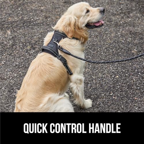 No-Pull Dog Harness with Comfortable Handle, Adjustable Straps