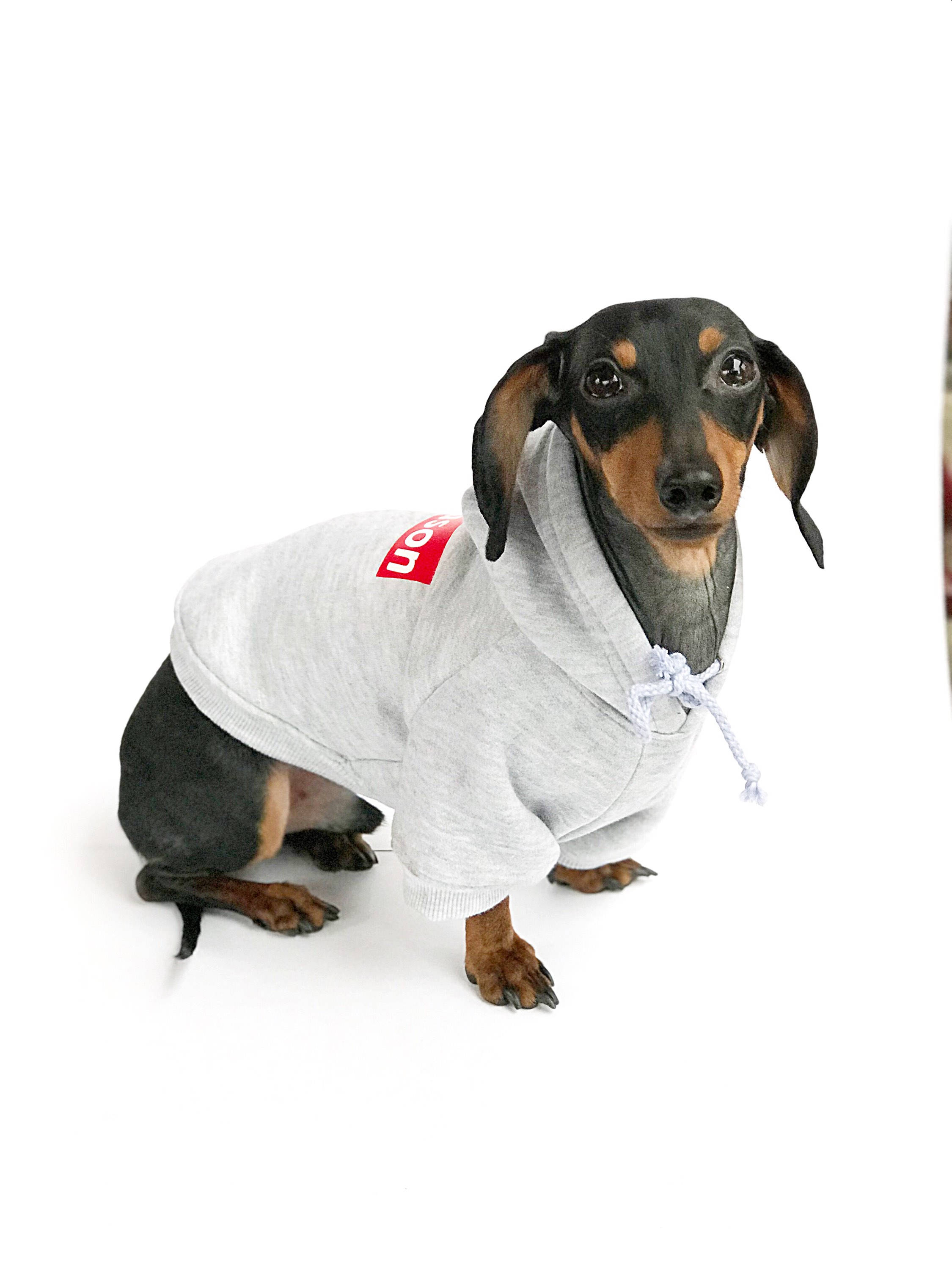 Custom Personalized Grey Pullover Warm Dog Sweater