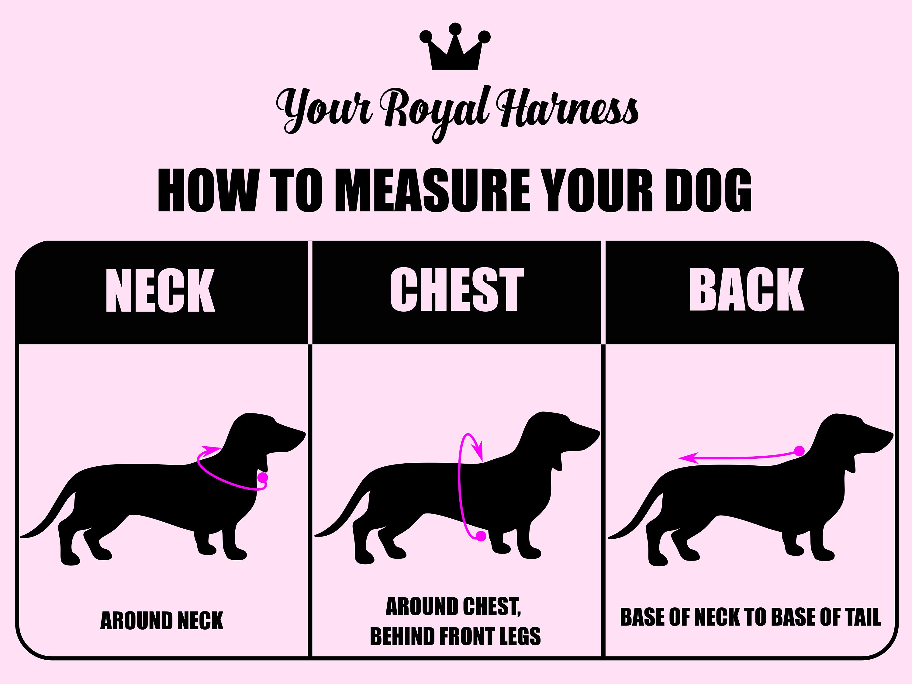 Custom Personalized Grey Pullover Warm Dog Sweater