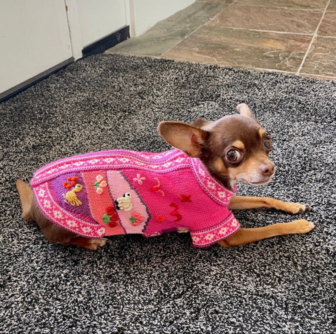 DARK PINK Zip Up Dog Sweater, Handmade in Peru