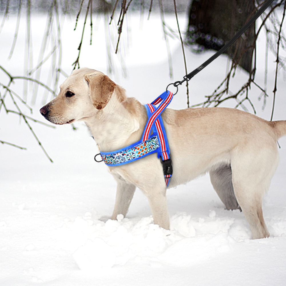 Cozy Winter Harness Vest for Small Large Dogs