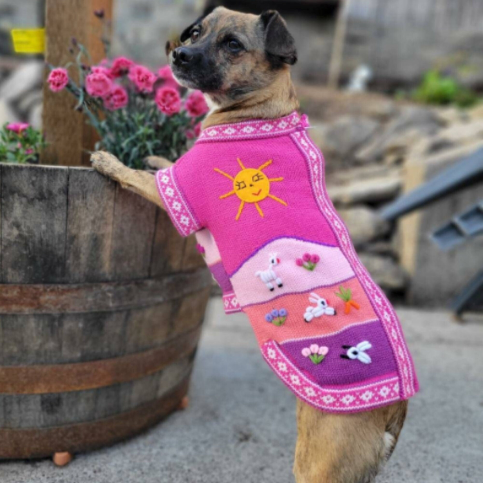 DARK PINK Zip Up Dog Sweater, Handmade in Peru