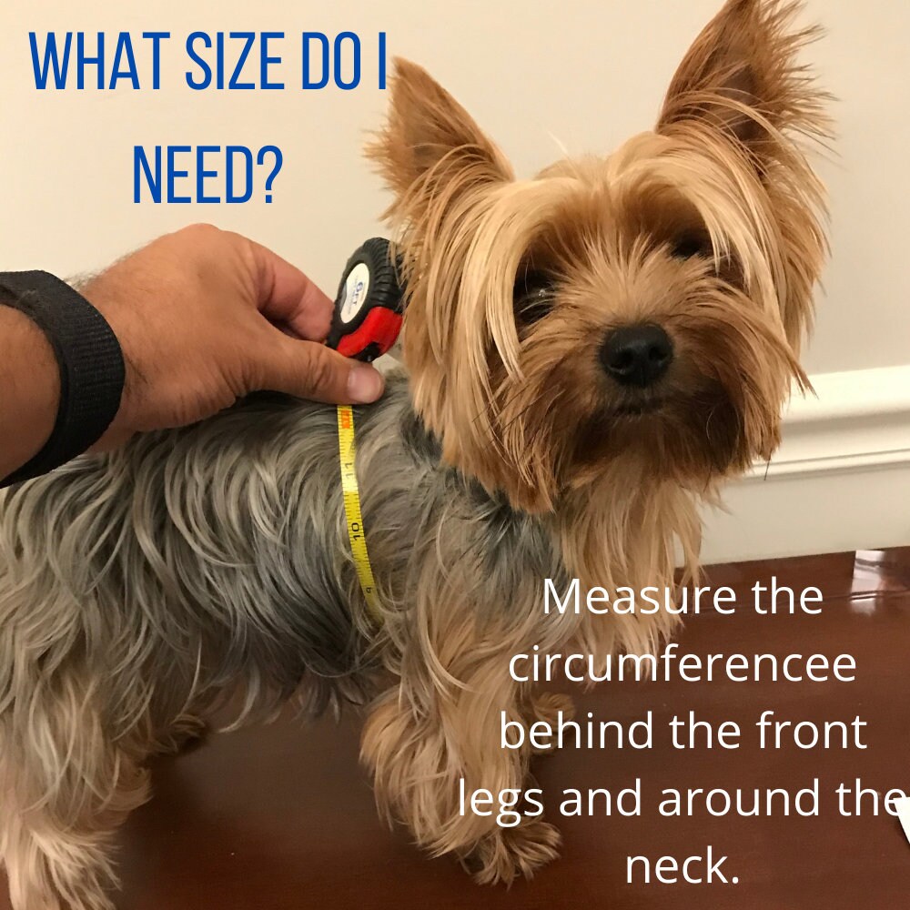 DARK PINK Zip Up Dog Sweater, Handmade in Peru