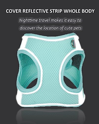 Solmoony Dog Harness & Leash Set for Small Dogs