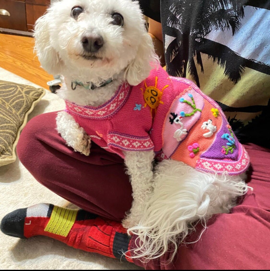 DARK PINK Zip Up Dog Sweater, Handmade in Peru