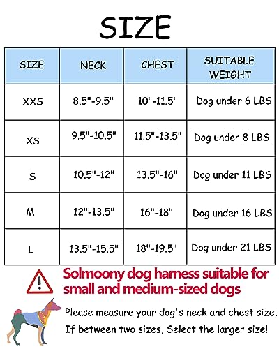 Solmoony Dog Harness & Leash Set for Small Dogs