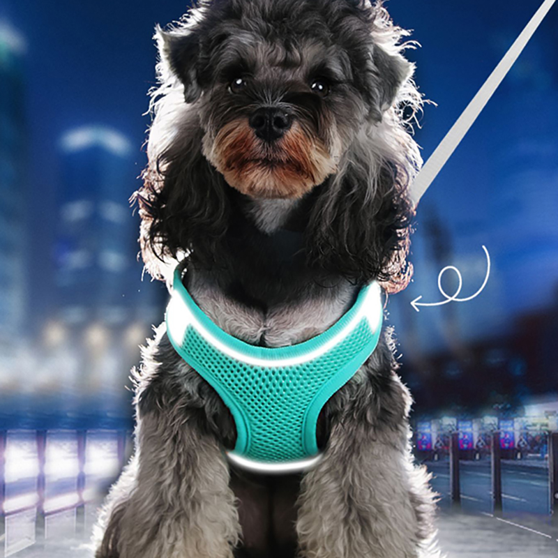MADDEN Dog Cat Harness Vest with Reflective Trim
