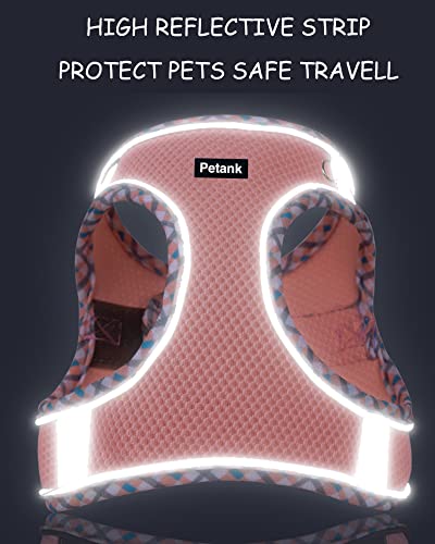 Purple Dog Harness & Leash Set for Small-Medium Dogs