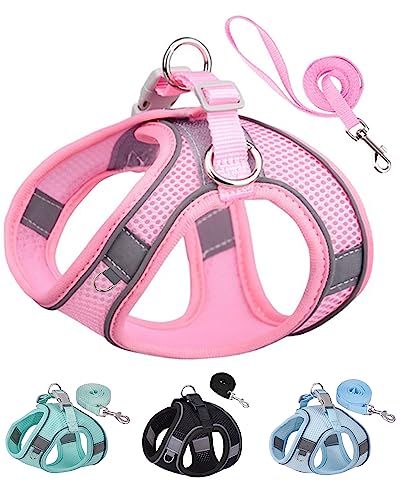 Solmoony Dog Harness & Leash Set for Small Dogs
