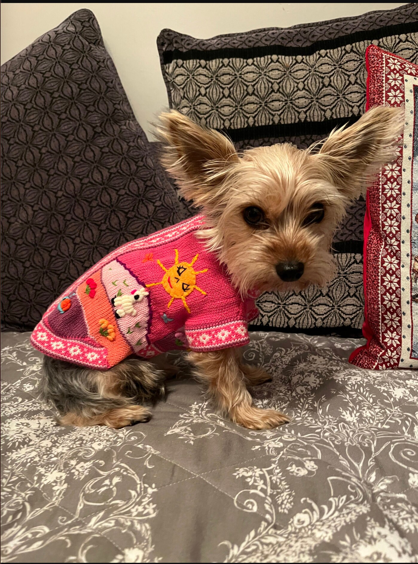 DARK PINK Zip Up Dog Sweater, Handmade in Peru