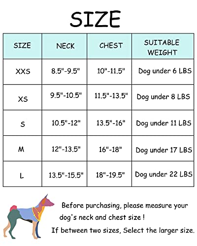 Purple Dog Harness & Leash Set for Small-Medium Dogs