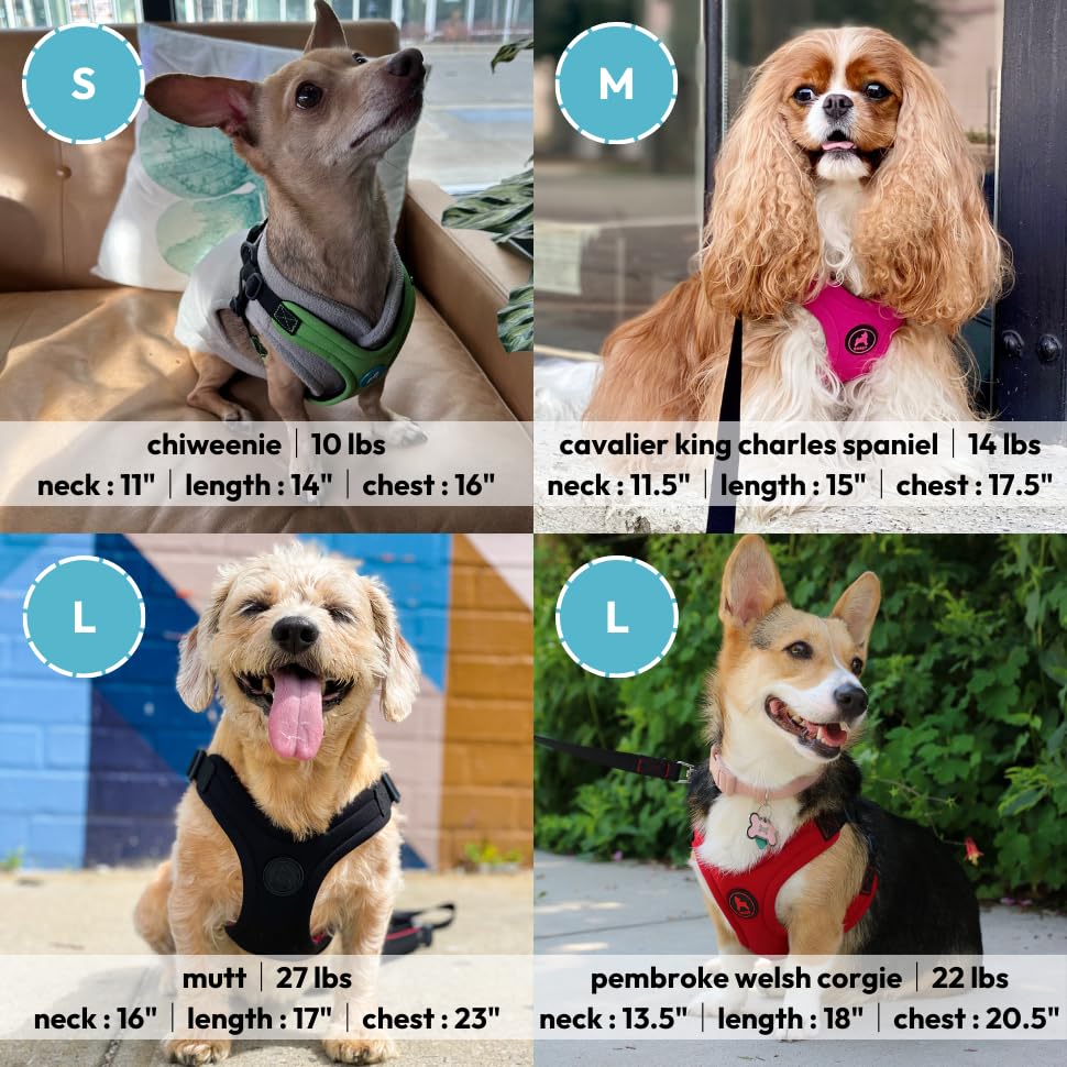 Pink Gooby Escape Free Sport Harness - Small Dogs