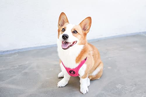 Pink Gooby Escape Free Sport Harness - Small Dogs