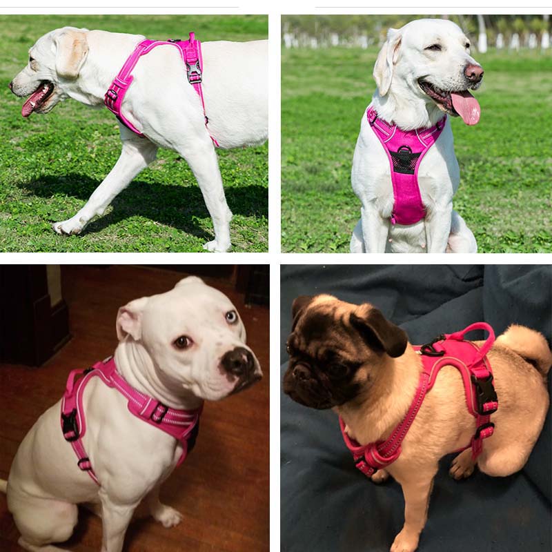 Adjustable Reflective Dog Harness for all Dog Sizes
