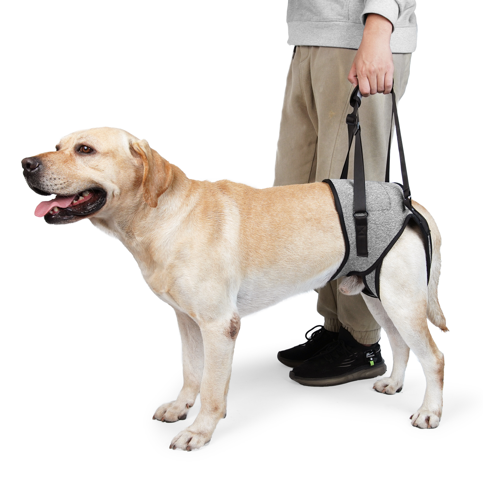 Adjustable Dog Lift Harness for Large Dogs with Disability