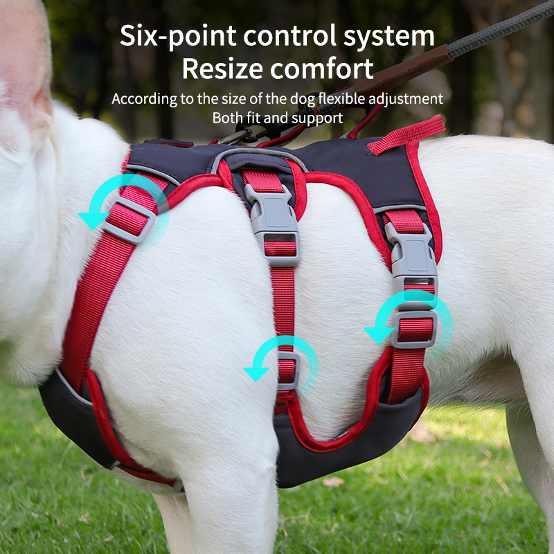 Reflective adjustable harness for small to large dogs