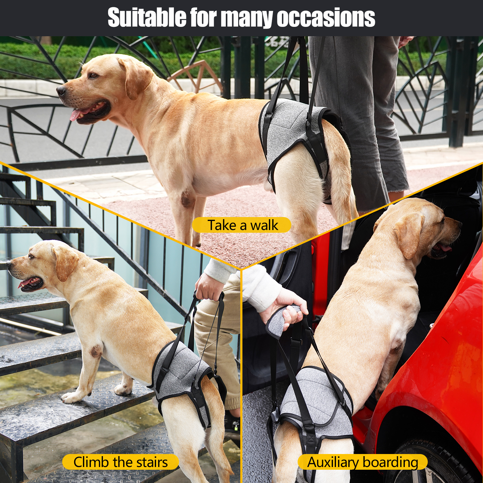 Adjustable Dog Lift Harness for Large Dogs with Disability