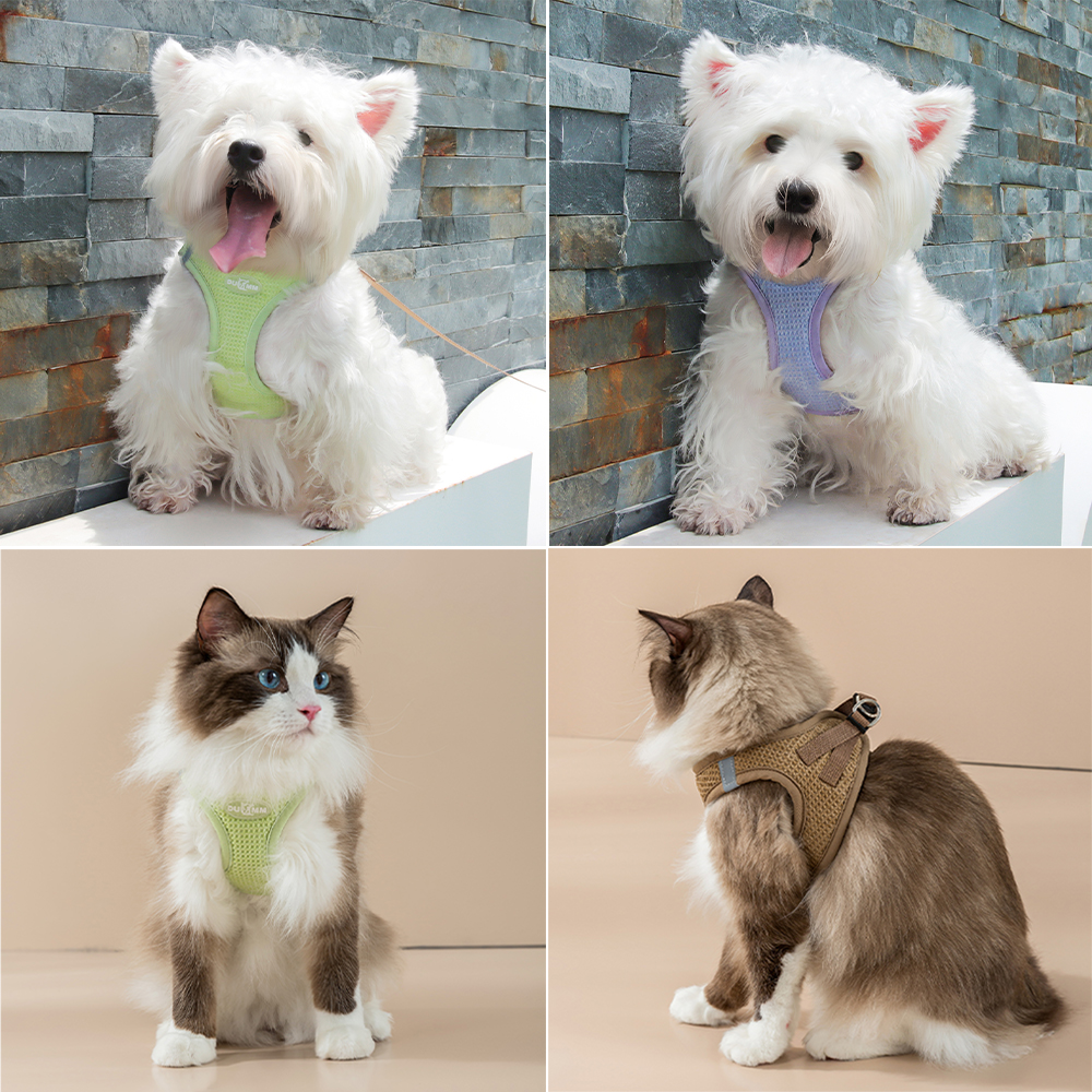 Breathable Waffle Puppy Cat Harness Leash for Small Dogs