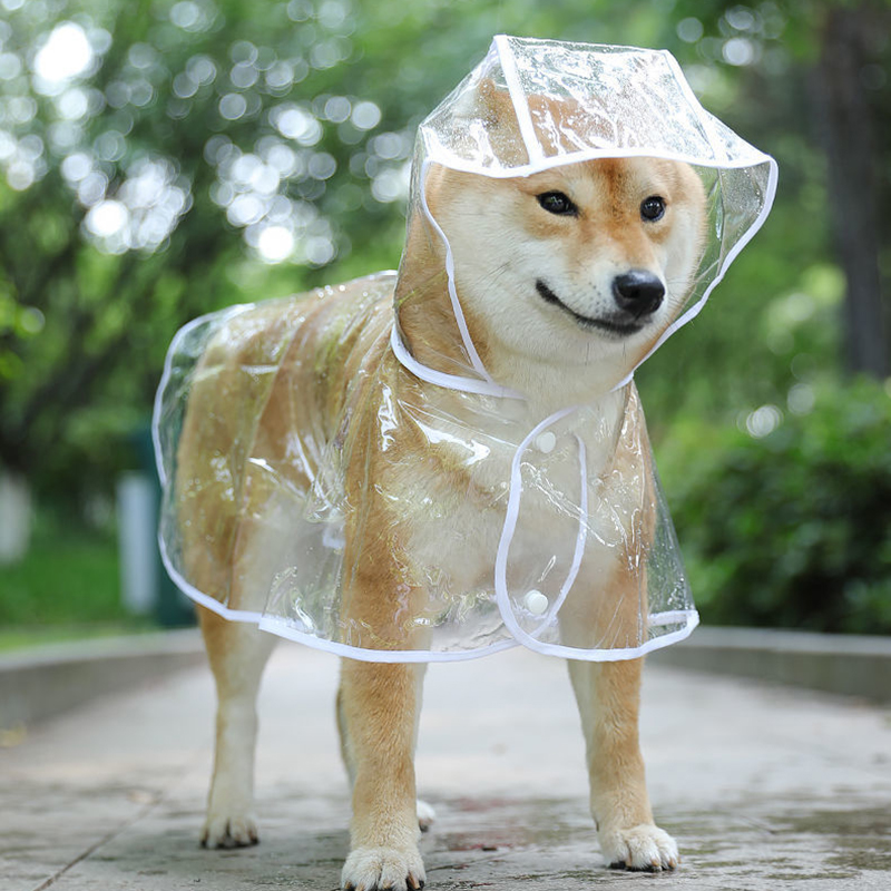 Transparent Hooded Raincoat for Small Dogs
