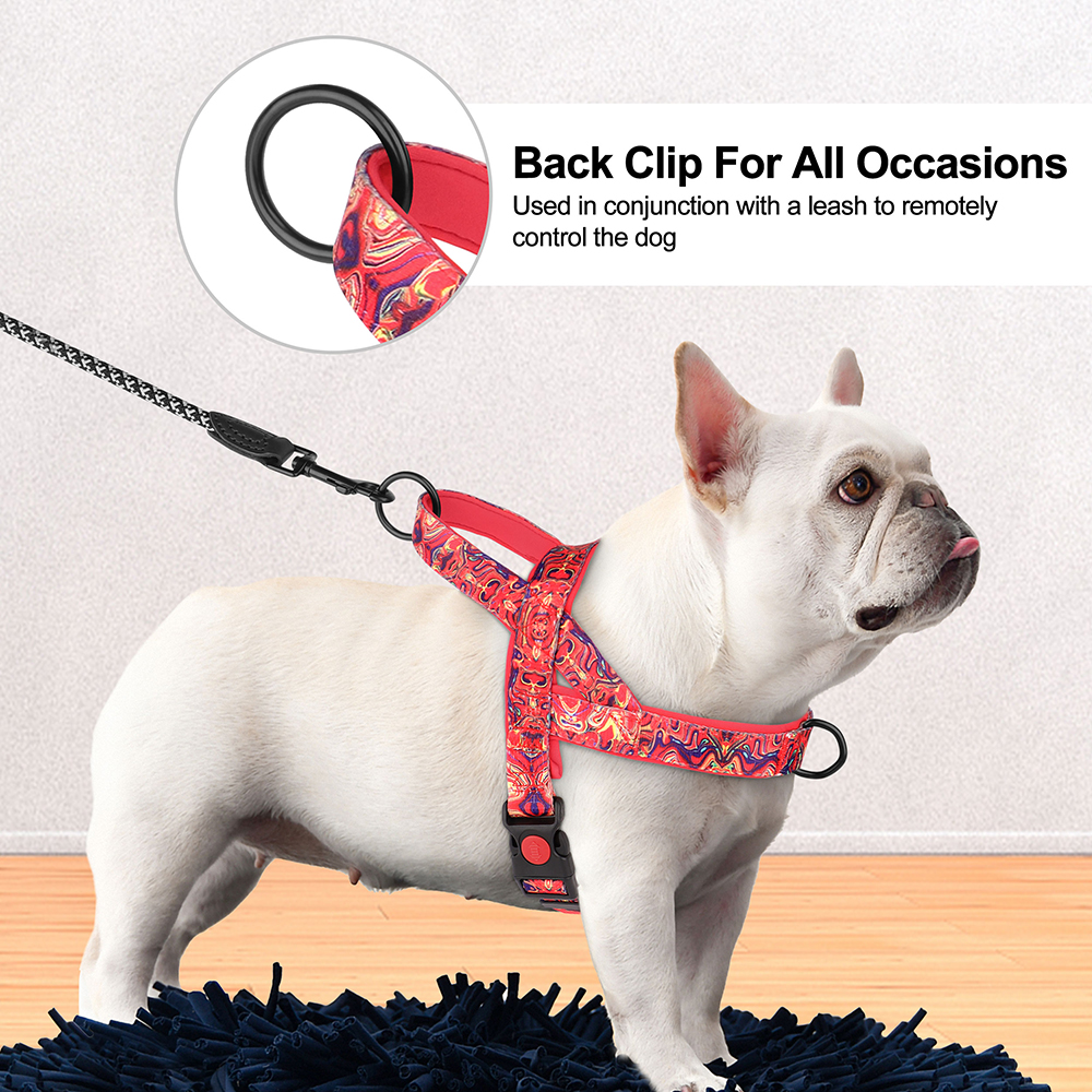 Soft Padded Nylon Dog Harness for Small, Medium, Large Dogs