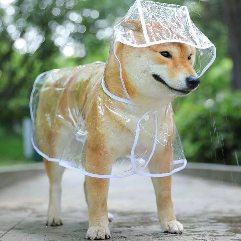 Transparent Hooded Waterproof Raincoat for Small Dogs