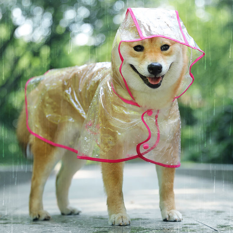 Transparent Hooded Waterproof Raincoat for Small Dogs