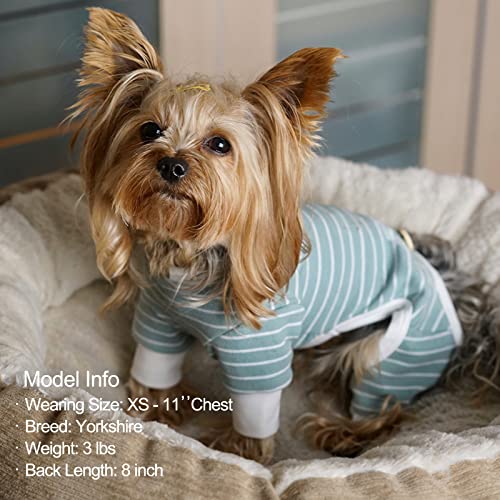 Stretchable Dog Pajamas: Hair-Shedding Cover for Summer Dogs