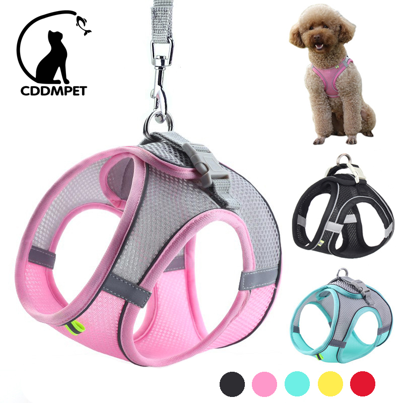 Adjustable Dog Harness Leash Set for Small Breeds