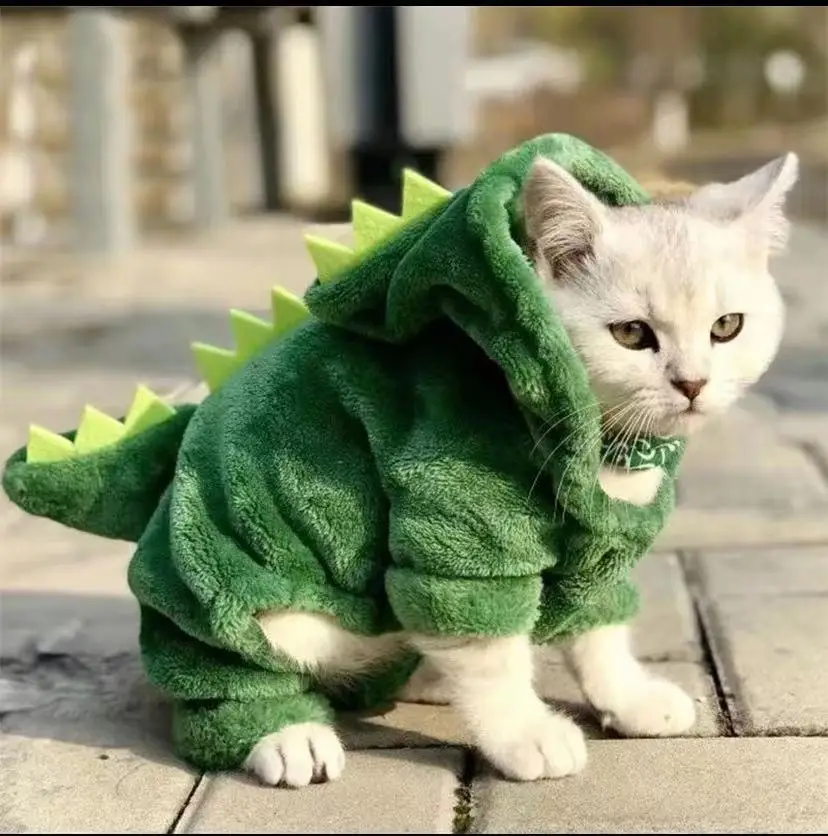 Halloween Dinosaur Costume for Small Dogs, Winter Fleece