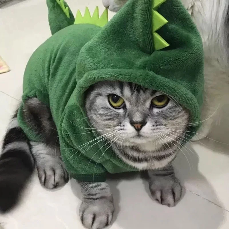 Funny Dinosaur Cosplay Costume for Small Dogs