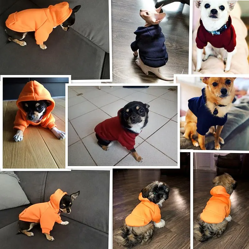 Warm Dog Clothing for Small & Large Breeds