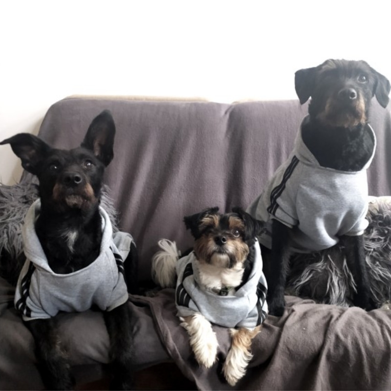 Adidog Hoodies: Warm Winter Coats for Large Dogs