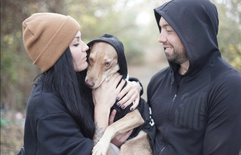 Adidog Hoodies: Warm Winter Coats for Large Dogs