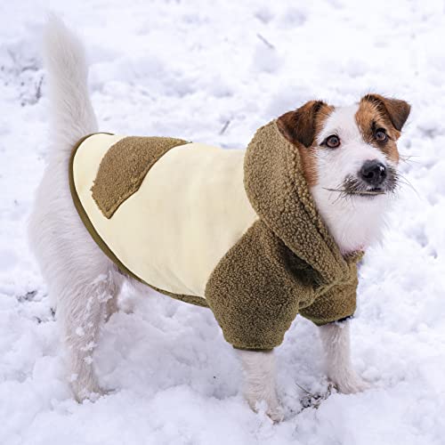 Cozy Dog Winter Hoodie - Large Size