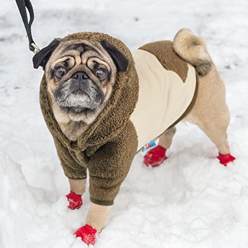 Cozy Dog Winter Hoodie - Large Size