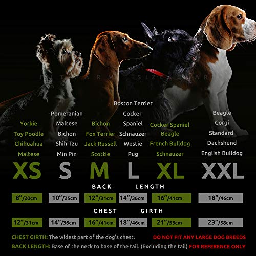 Hedgehog Thermal Pet Winter Clothes -Cream White Medium