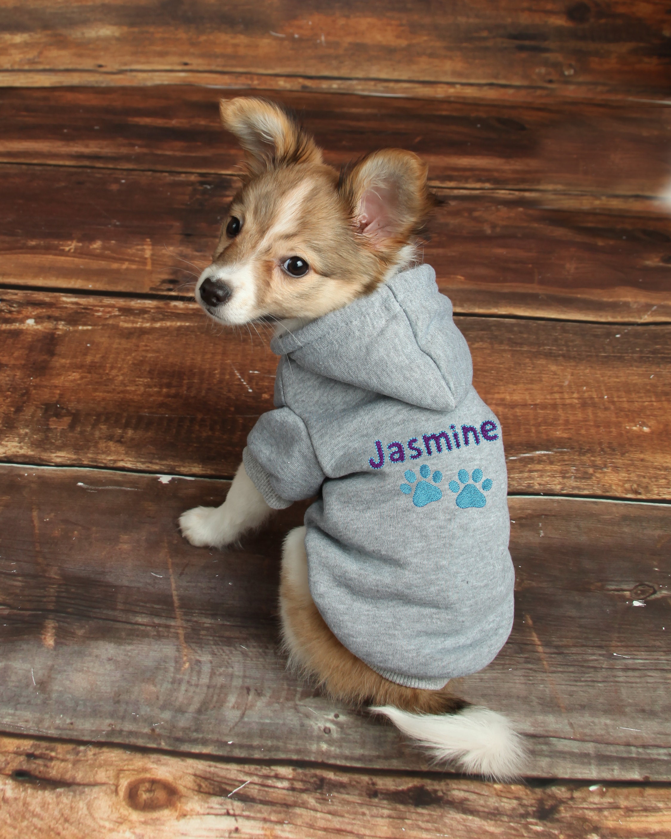 Custom Dog Hoodie - Name Pet Sweatshirt