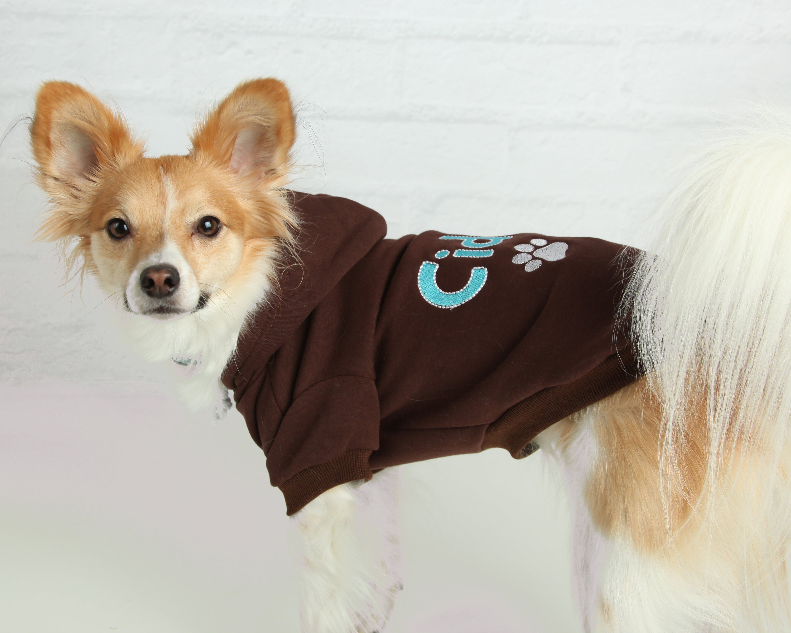 Custom Dog Hoodie - Name Pet Sweatshirt