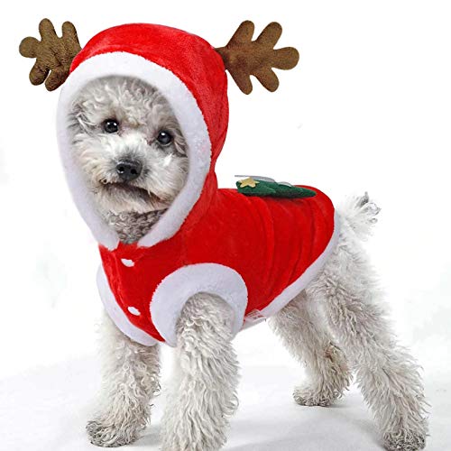 Christmas Costume for Small/Medium Dogs and Cats