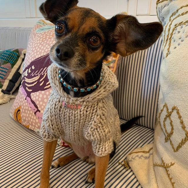 Personalized Knit Dog Hoodie - BubaDog