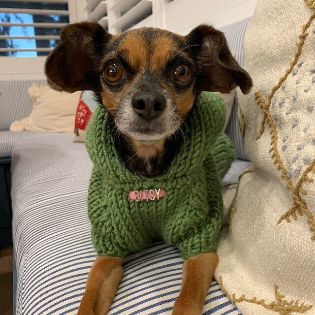 Personalized Knit Dog Hoodie - BubaDog