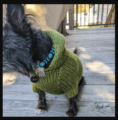 Personalized Knit Dog Hoodie - BubaDog