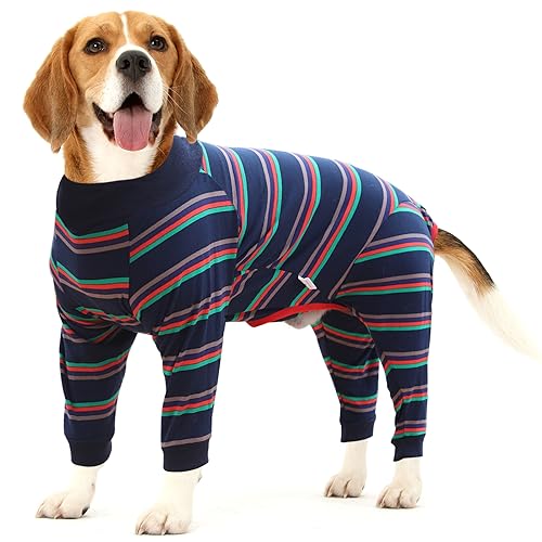 Blue Dog Recovery Suit for Abdominal Wound Surgery