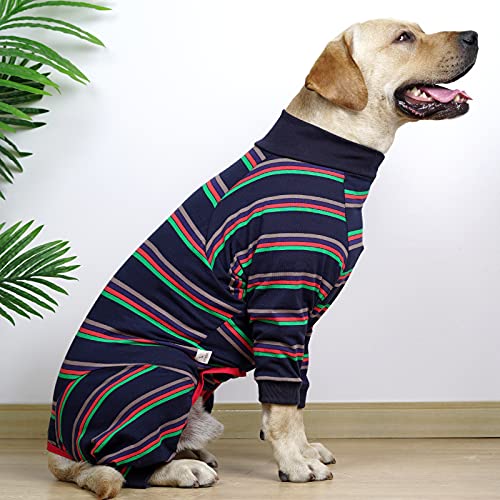 Blue Dog Recovery Suit for Abdominal Wound Surgery