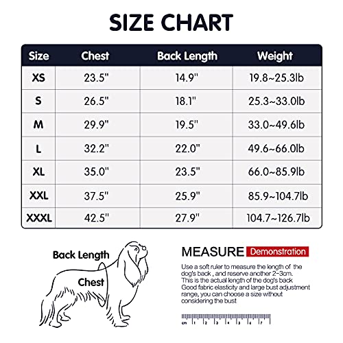 Blue Dog Recovery Suit for Abdominal Wound Surgery